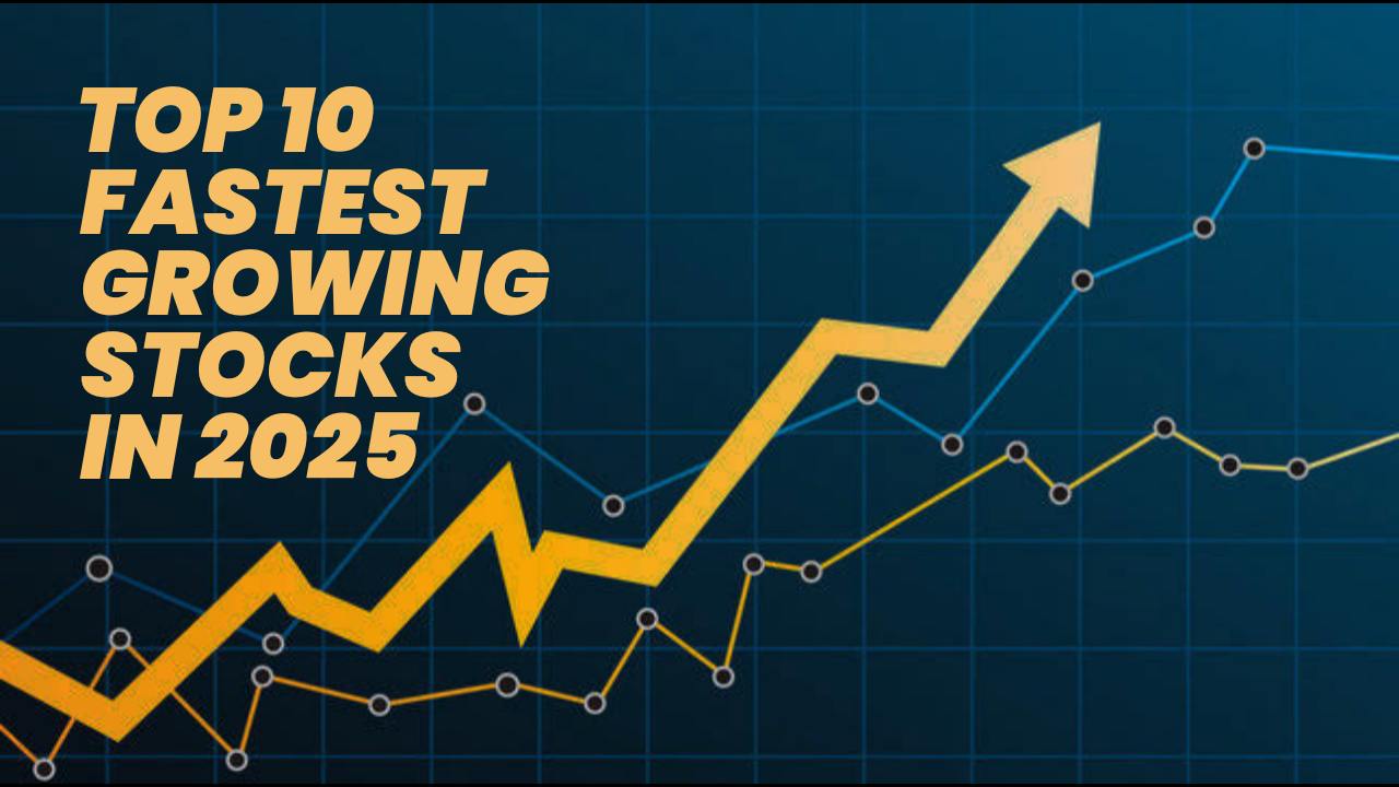 10 Fastest Growing Stocks in India 2025